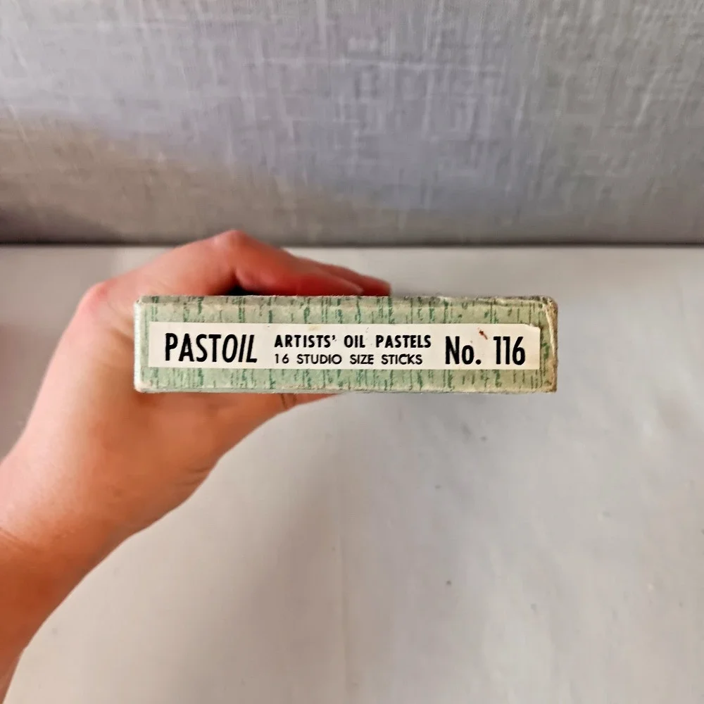 Permanent Pigments Pastoil‎ Artists Oil Pastels 16 Studio Size Sticks JAPAN Made